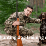 best hunting dog training collar