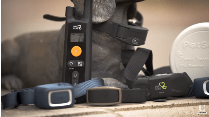 are shock collars bad for dogs