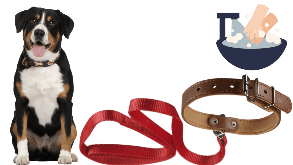 how to clean a dog collar