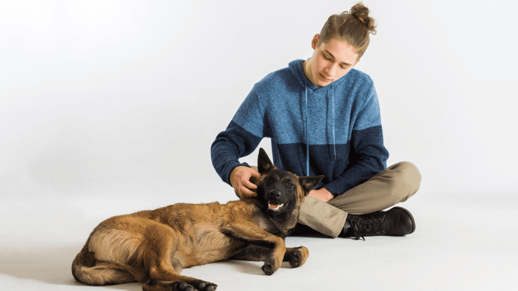 are belgian malinois good family dogs