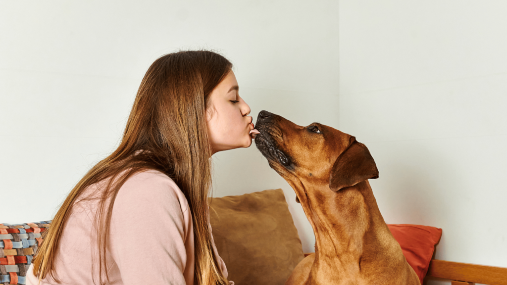 how to train my dog to give kisses