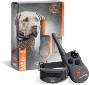 best training collar for stubborn dog