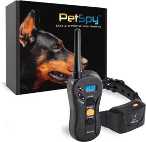 best dog training collar under 100