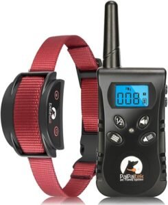 best no shock training collar