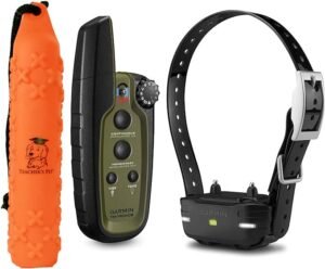 best dog training collar for hunting