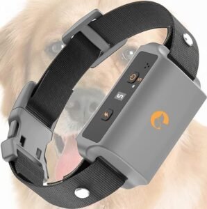 best bark training collar