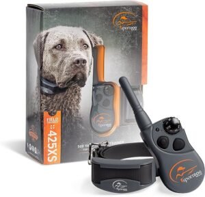 best training collar for pitbull dog