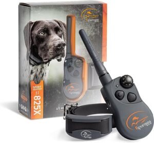 best dog training collar for hunting