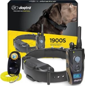 best training collar for pitbull dog