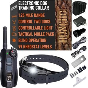 best dog training collar for hunting